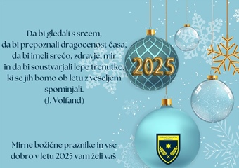 Božično novoletno voščilo
